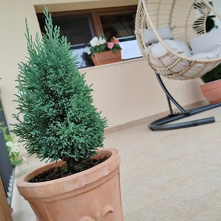 Gimes * Cserszegtomaj