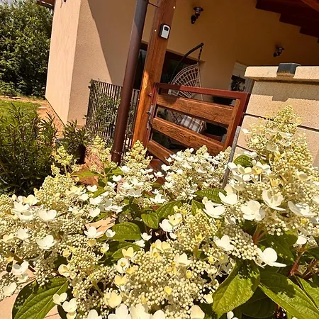 Gímes Apartamento