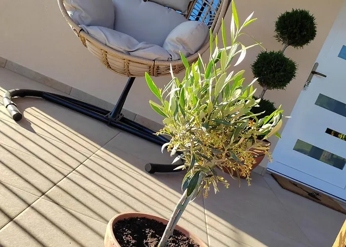 Gímes Apartmán Cserszegtomaj